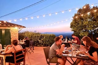 Vinci: Panoramic Dinner in a Tuscan olive oil farm