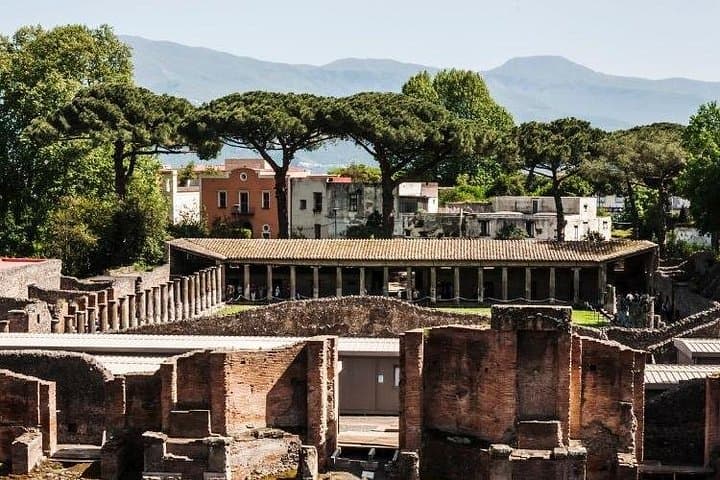 Pompeii & Bosco de' Medici Winery Skip the line — photo 1 of 11