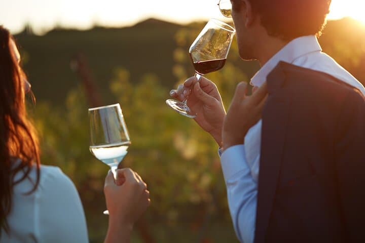 Experience Emilian Wines at Bologna Vineyard Vista — photo 1 of 12