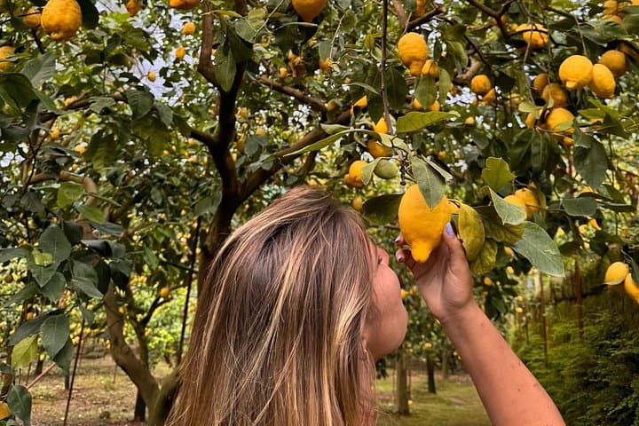 Nonno Mario Sorrento Lemon tour — photo 1 of 10