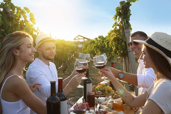 Tuscany: Chianti Semi-Private Wine Tasting and Dinner in Vineyard — photo 1 of 18