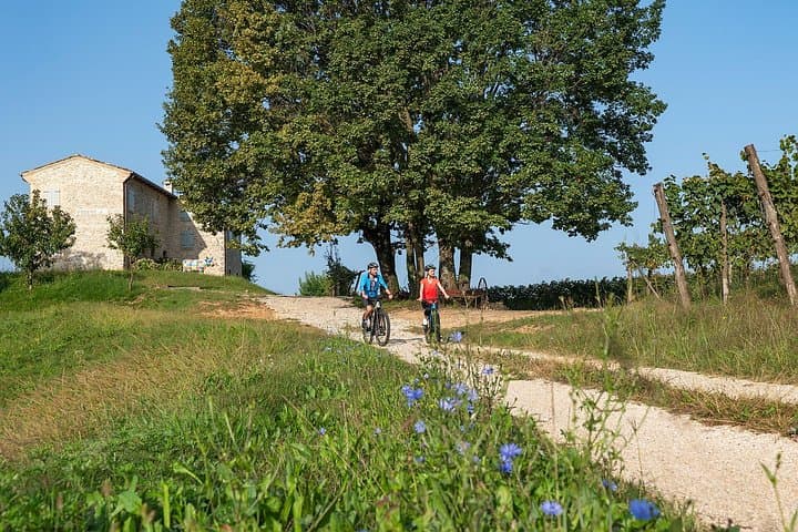 6 - Hours Private Tour Prosecco by Car Guided Bicycle — photo 1 of 9