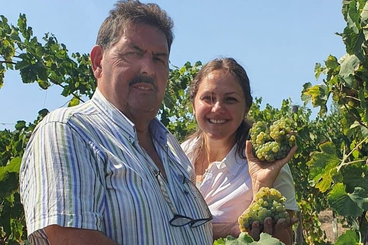 Private Naples Food and Wine Harvest Tour — photo 1 of 12