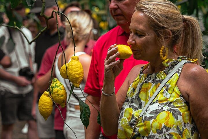Sorrento Ape Tour, Lemon Garden, Mozzarella Show & Pizza Class — photo 1 of 31