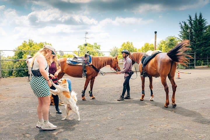 Horseback riding and wine tasting experience at Mount Vesuvius — photo 1 of 32