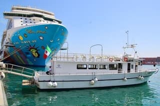 Tour by Sea from Salerno and Stop in Amalfi with Aperitif Included