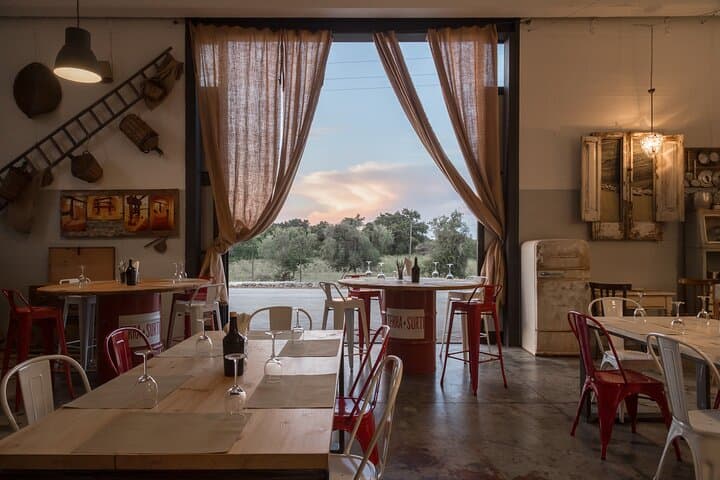 Visit to the olive grove, oil tasting and lunch at the farm — photo 1 of 10