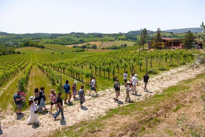 Tuscany Day Trip from Florence: Siena, San Gimignano, Pisa and Lunch at a Winery — photo 1 of 38