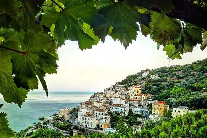 Amalfi Coast Hike and Wine Tour in Vietri — photo 1 of 9