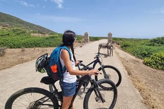 From Porto Torres: ebike rental to discover Asinara