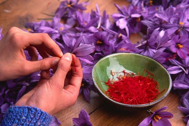 Olmedo Guided Saffron Laboratory Tour with Tasting — photo 1 of 5