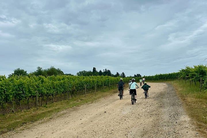 Chianti Classico Ebike Experience Tour and Wine Tasting — photo 1 of 8