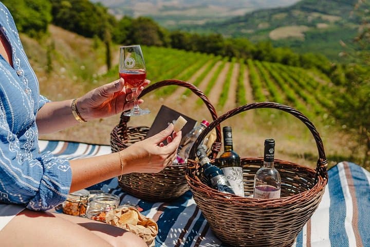 Winery Tour & picnic in the vineyard with a bottle of wine — photo 1 of 8