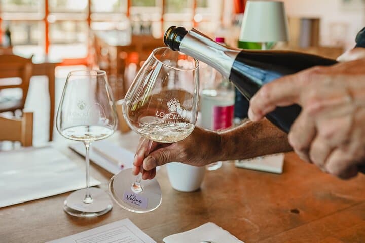 Winery tour & wine tasting in Montalcino — photo 1 of 11