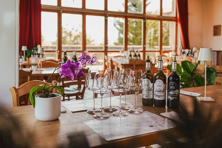 Classic Wine Tasting in Montalcino — photo 1 of 9