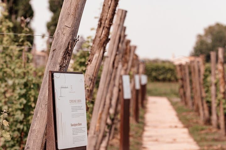 Sensorial Journey of Wine Flavors at Casa Paladin Winery — photo 1 of 9