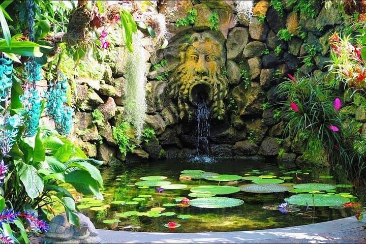 Tour Giardini la Mortella and village of Sant'Angelo and Bay of Sorgeto — photo 1 of 5