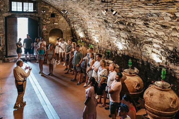 Small group Tuscan Wineries, Olive Oil & Gourmet Lunch or Dinner — photo 1 of 19