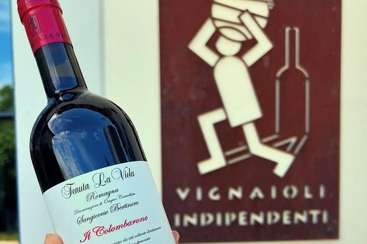 Discover Italian Wines at Tenuta La Viola — photo 1 of 20