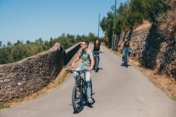 Private Electric Bike 2 hours Tour of Florence Hills with Gelato Tasting — photo 1 of 8