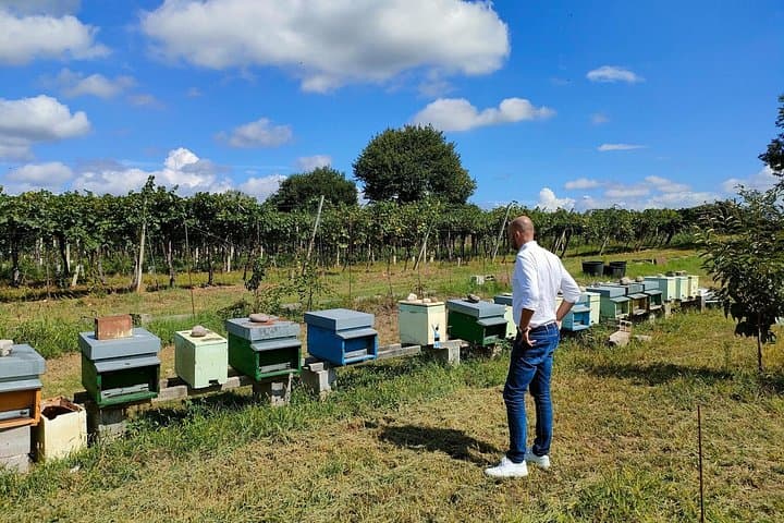 Beekeeping Farm Tour and Tasting Experience in Lazise — photo 1 of 18