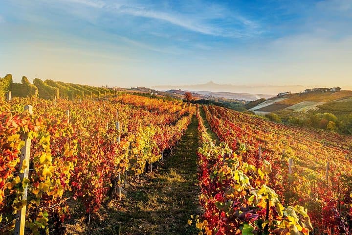 Monforte d'Alba Langhe with unforgettable wine tasting — photo 1 of 10