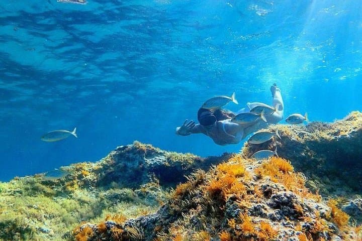 Half Day Cala Gonone Snorkeling in the Orosei Gulf — photo 1 of 10