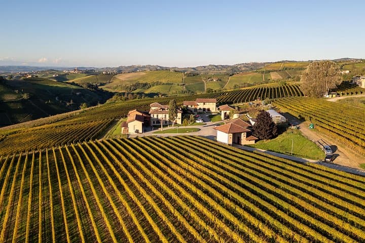 Langhe Wine Tasting and Traditional Lunch — photo 1 of 10