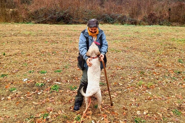 Truffle Hunting and Lunch in Piedmont Trattoria — photo 1 of 21