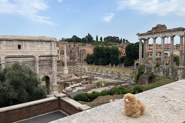 Rome Private Walking Tour Discover the Eternal City — photo 1 of 9