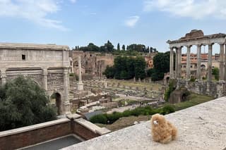 Rome Private Walking Tour Discover the Eternal City