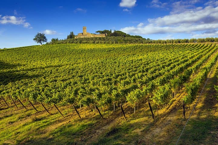 Tuscany Wine Tour from Florence — photo 1 of 18