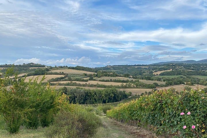 Experiences in Umbria, Toscana and Marche — photo 1 of 4