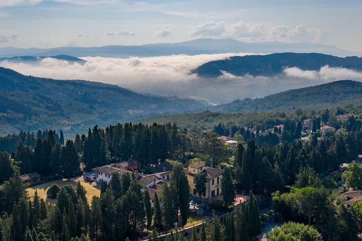 Olio evo silver experience at Frantoio Buonamici in Fiesole — photo 1 of 20