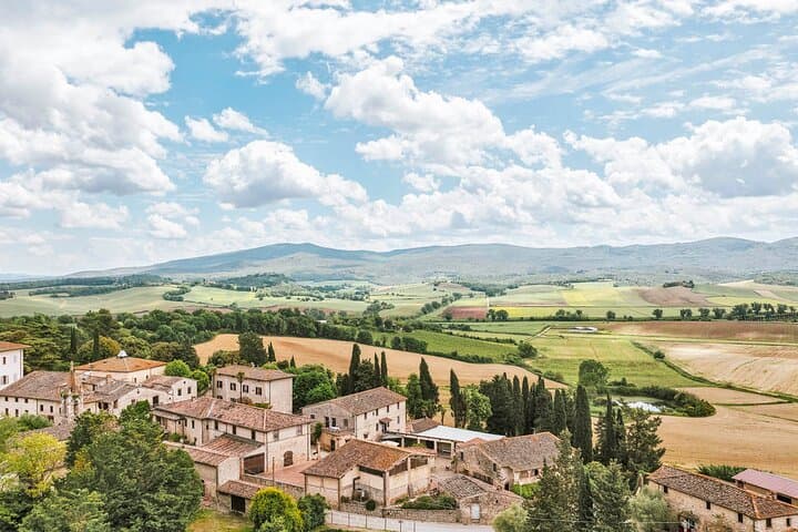 Farm Experience on Tenuta di Mensanello Olive and Wine Tasting — photo 1 of 6