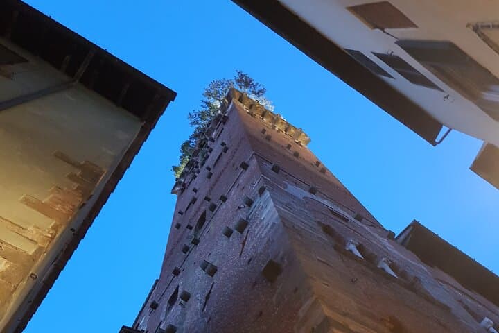 Early morning Lucca private walking tour — photo 1 of 6