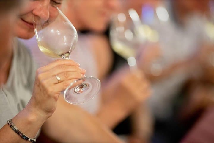 Visit and Private Tasting of EVO Oil and Organic Wine — photo 1 of 9