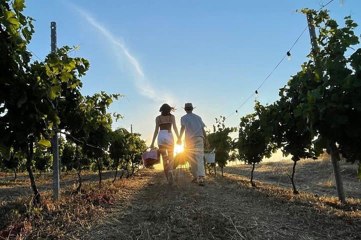 Palau Small Group Picnic in a Gallura Estate with Wine tasting — photo 1 of 6
