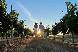 Palau Small Group Picnic in a Gallura Estate with Wine tasting