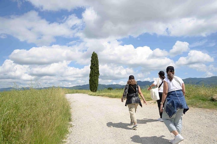 Hike & Wine Tour — photo 1 of 13
