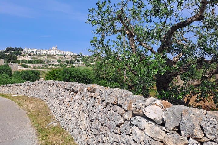 Cisternino Locorotondo Ebike Tour With Gelato Stop — photo 1 of 22