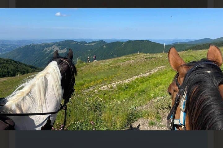 Horseback riding in the Tuscan hills — photo 1 of 10