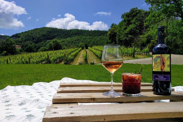 Montepulciano: A picnic with wine, surrounded by vineyards — photo 1 of 9