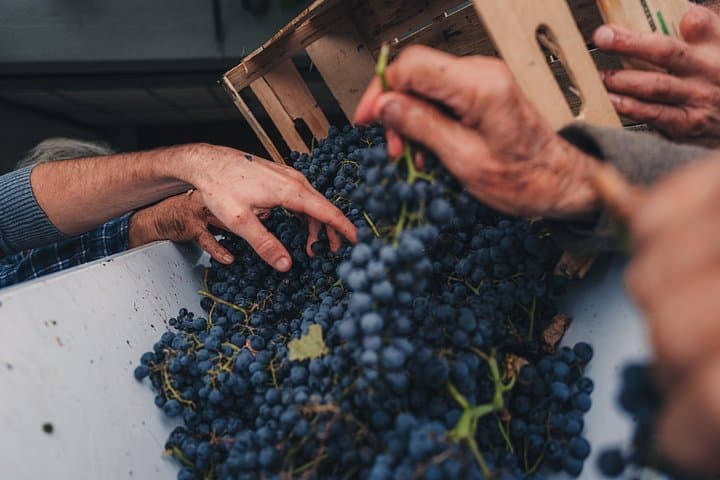 Tuscany Wine Tour — photo 1 of 23