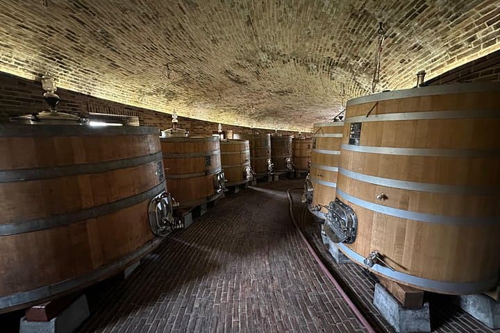 Exclusive Montalcino Wine Experience — photo 1 of 3