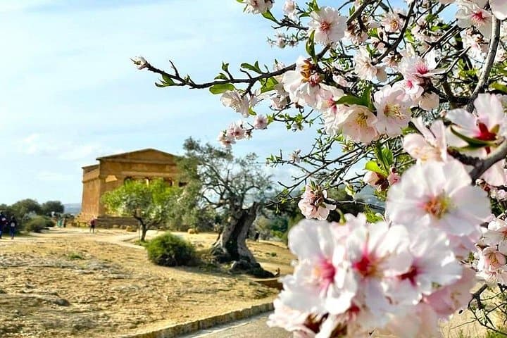 Pozzallo Agrigento and the Valley of the Temples — photo 1 of 6