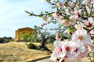 Pozzallo Agrigento and the Valley of the Temples