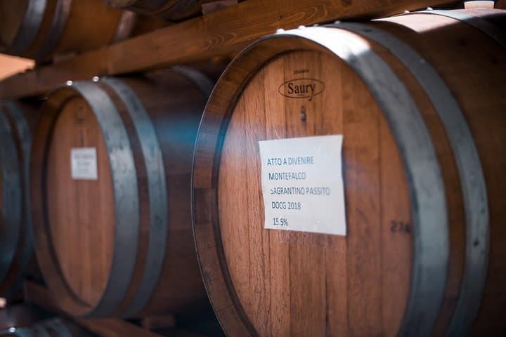 Umbria Mia: Tasting with the Winemaker and Tour of the Cellar. — photo 1 of 11