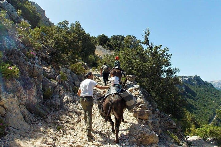 Donkey walk in Suttaterra forest from Dorgali — photo 1 of 10