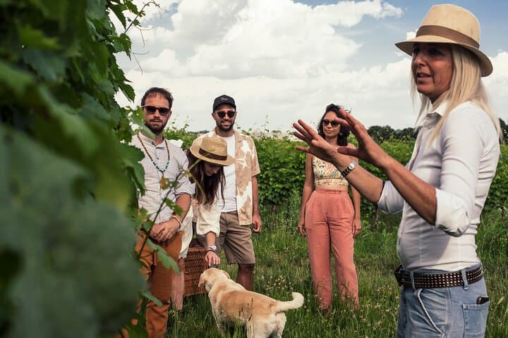 Vineyard tour and tasting of 6 Garda Wines with Giovanna Tantini — photo 1 of 10